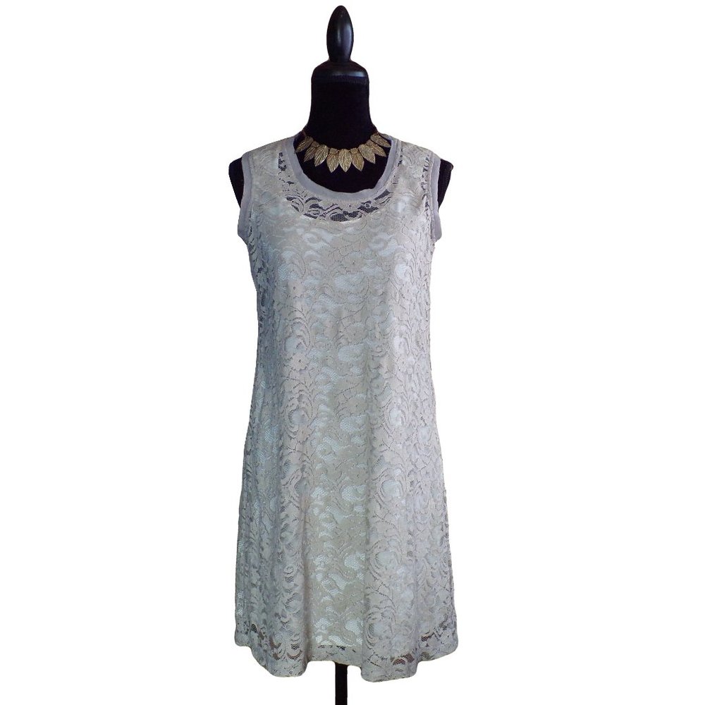 NWT Simply Vera By Vera Wang Lace Overlay Dress